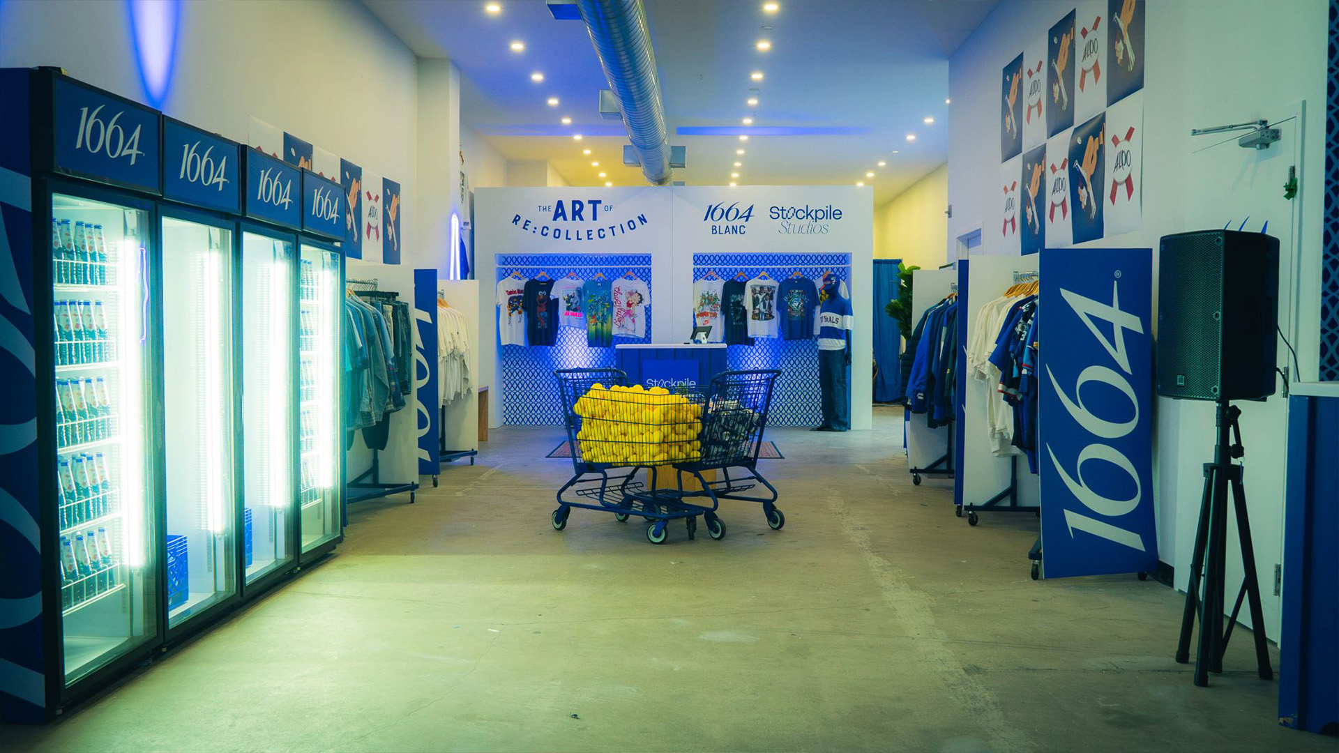 VIBRANT_CLIENT_blog11_Main Image_1920X1080_02