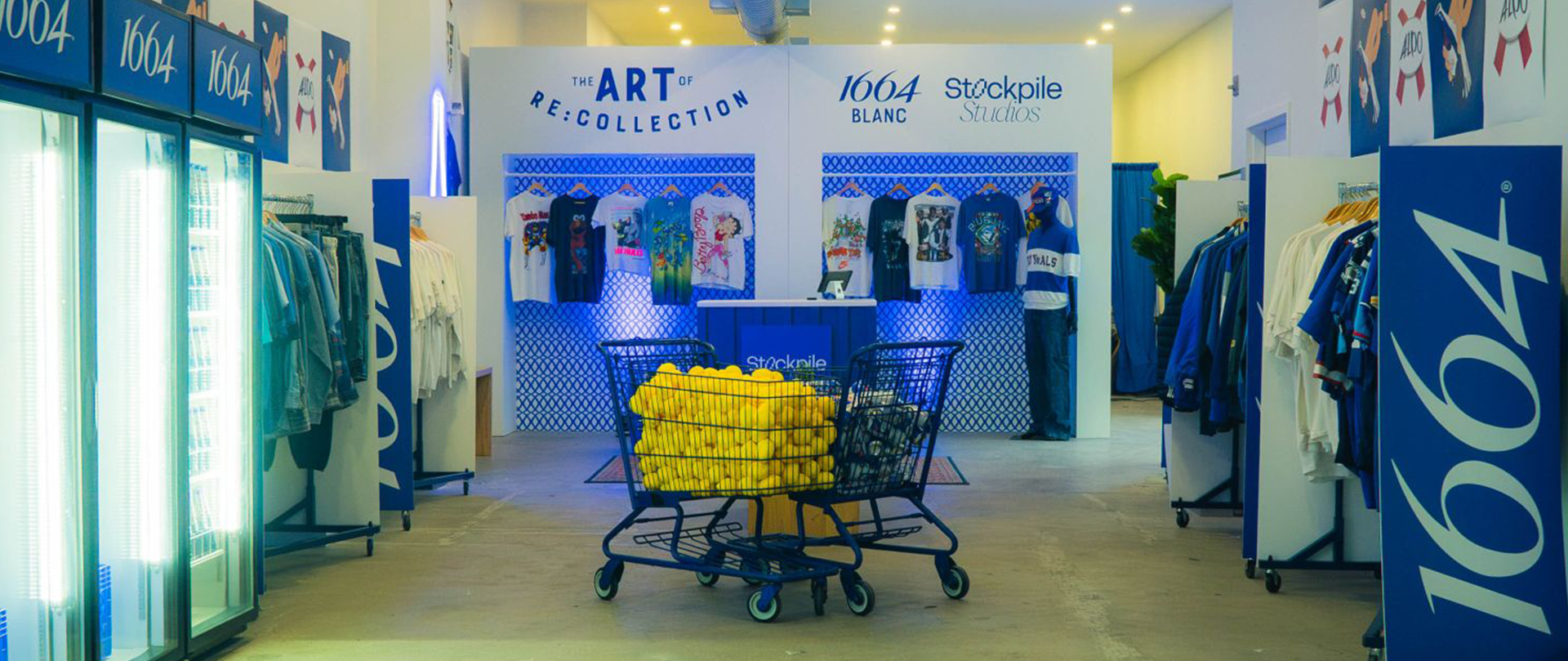 VIBRANT_CLIENT_blog11_Main Image_1920X1080_02